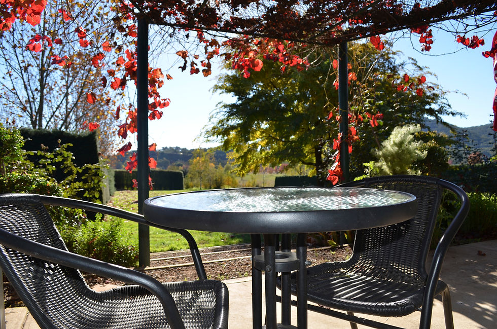 a table setting in a leafy garden
