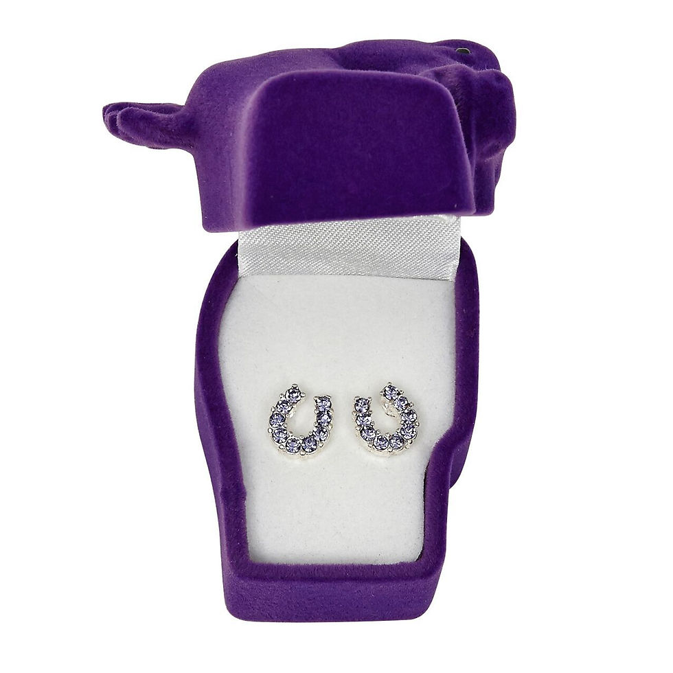 Thumbnail: Rhinestone Horseshoe Earrings