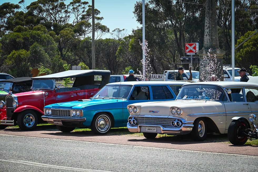 Vintage Show and Shine