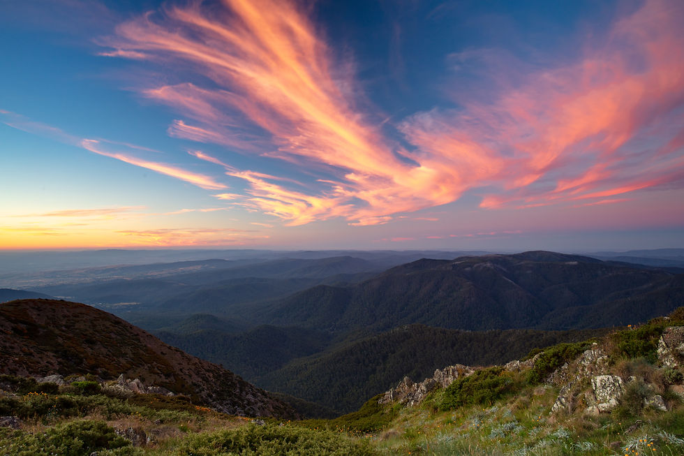 Mansfield Bushwalks and Tours