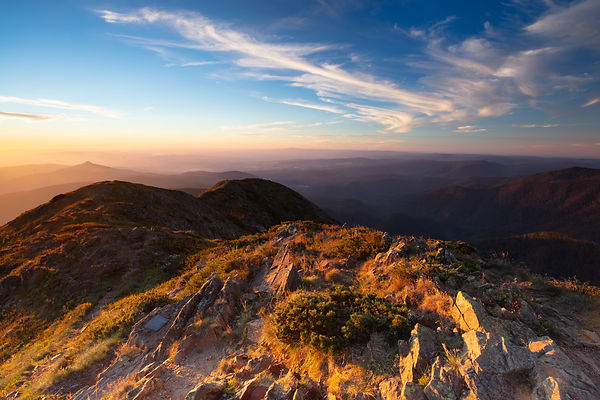 AdobeStock_260312392.jpeg