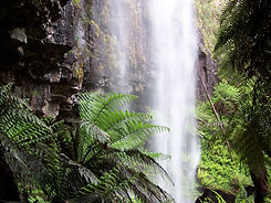 AdobeStock_Waterfall_Bushwalking.jpeg