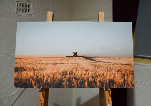 A Summer Harvest - Photography by Alex Newman
