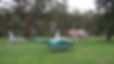 Original__9630282_CF40_241108_099_3ufz49