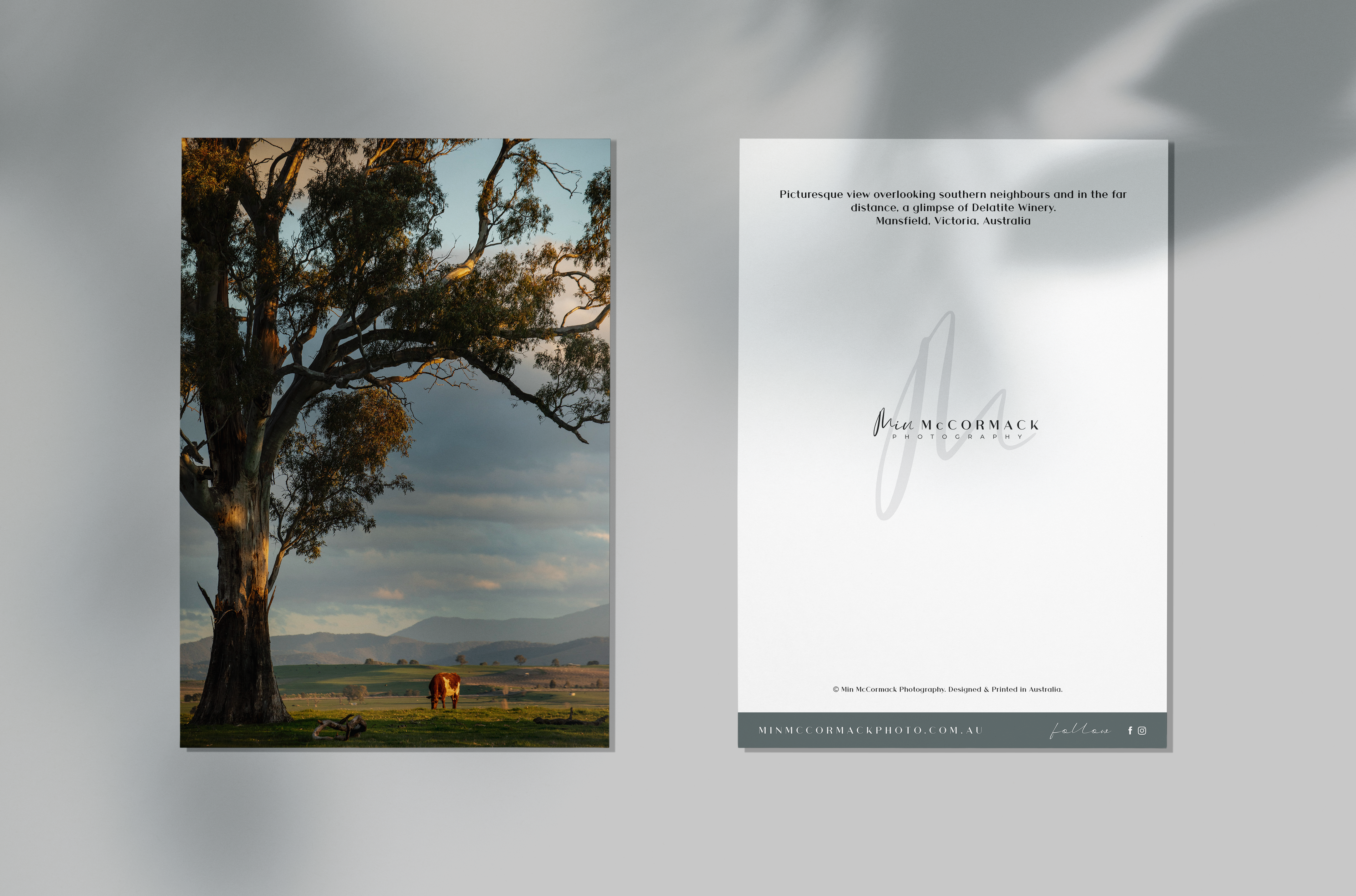 Southern Neighbours Gift Card