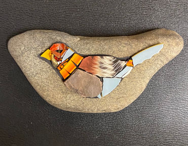 23D39453-6B06-4282-B6DF-A090E2A45EEB - Sue Binzer-Jones.jpeg