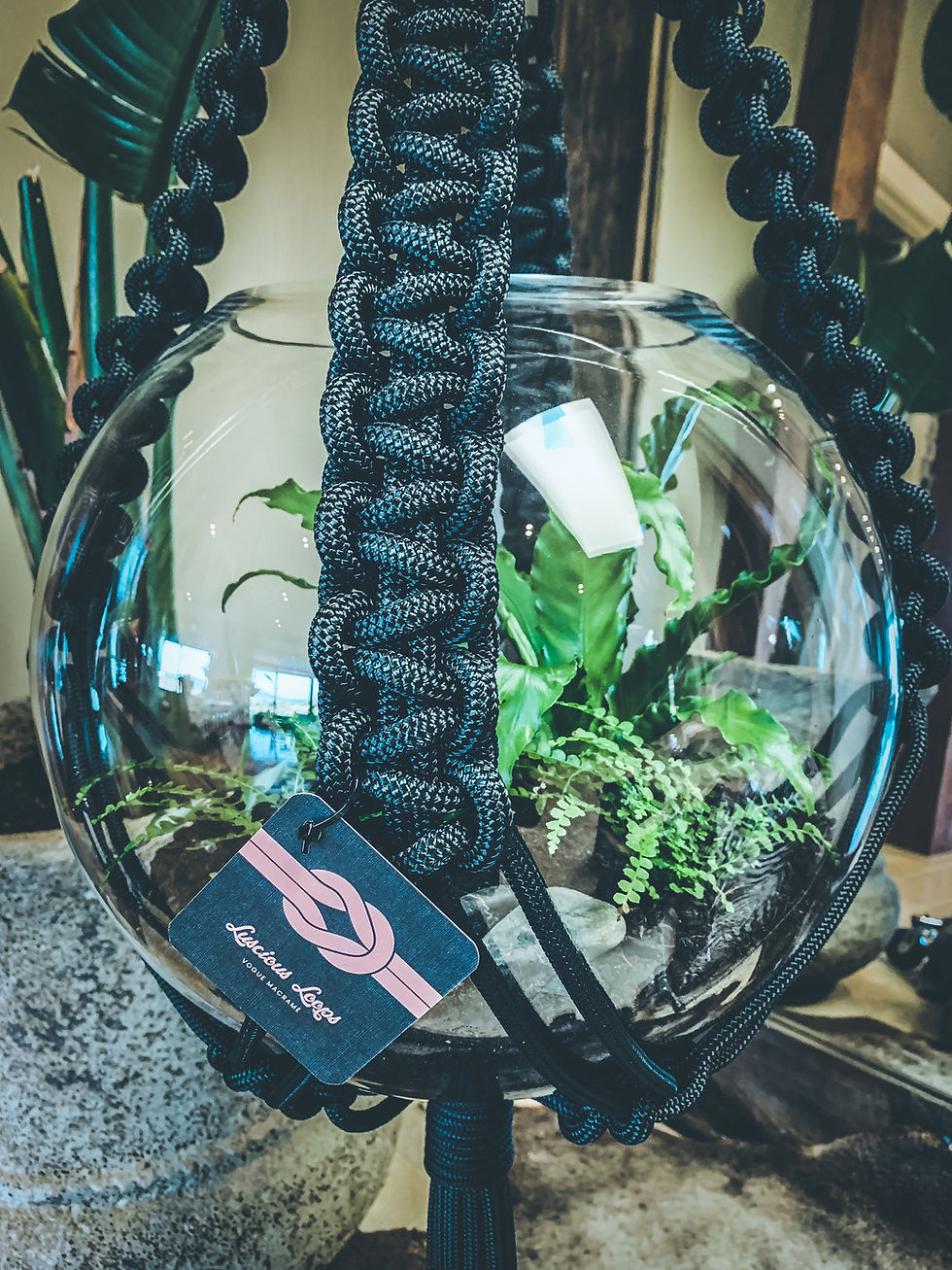 Thumbnail: Lush Real Plant Soil Terrarium 1