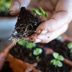 Orta Kitchen Garden