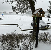 Afbeelding van WhatsApp op 2024-01-18 om 11.32.10_94b51c5d.jpg