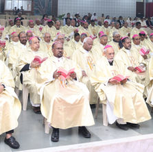 CCBI Calls Dioceses to Strengthen Synodal Implementation