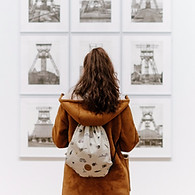 Looking at Art