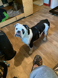 IMG_0702.jpeg