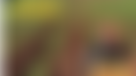 Tecnologia para uma melhor colheita