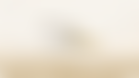 Império de Areia | C: 04