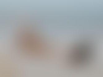 New Year Resolutions and more!