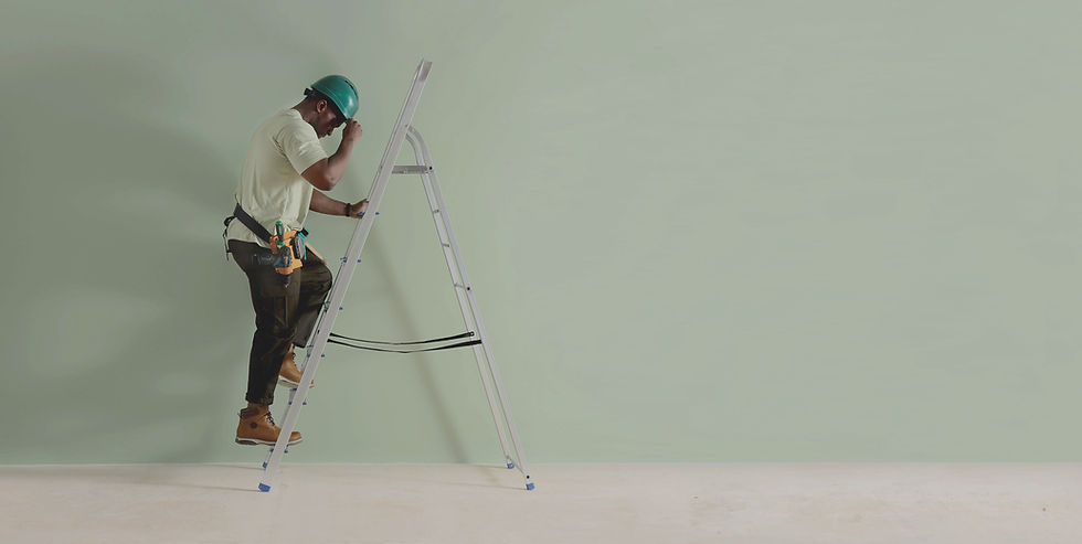 Worker with Ladder_edited_edited.jpg