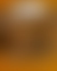 O processo da imagem e a construção do Brasil no livro didático do PNLD - Conexão Livre Instância 01