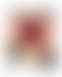 A Vida Não Me Atrasou, Ela Me Lapidou 