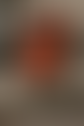 De Wereld van Tony De Voeger: "De brievenbus die een vuilbak wilde zijn"