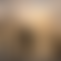 De ezel van Sint-Vincentius (die de Bourgogne leerde snoeien)