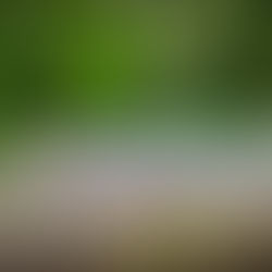 Alto Piemonte: waar Italië zijn vergeten wijngaarden herontdekt