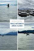 Ally Abroad: Whale Watching in Juneau, Alaska
