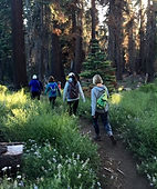 Yoga Women's Wellness Retreats in California