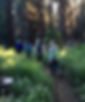 Yoga Women's Wellness Retreats in California