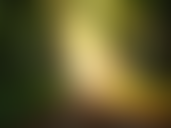 Best Thing To Happen. Divorced.