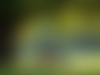 Navigating the Challenges of Raising Teen Boys with Behavioral Issues: Tips, Strategies, and Resources for Parents