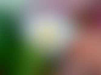 From Fog to Focus: A Mom’s Guide to Mental Clarity—Tailored to Your Life