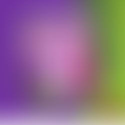 When You Say Too Much, and They Understand Too Little!