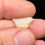 Thumbnail: Shimmering Raw Brazilian Precious Opal Lapidary Stone