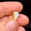 Thumbnail: Bright Australian Lightning Ridge Rough Opal Parcel