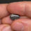Thumbnail: Black Natural Untreated Tablon Honduran Matrix Opal Cabochon Full Of Color Dust