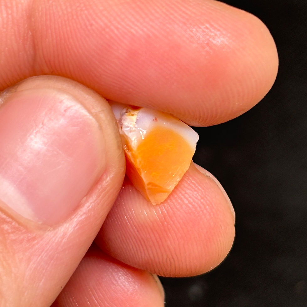 Thumbnail: Colorful Two Tone Single Mexican Fire Opal Rough Stone