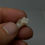 Thumbnail: Raw Amber Australian Coober Pedy Opal Stone Cutter
