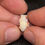 Thumbnail: Rainbow Australian Coober Pedy Unfinished Raw Opal Rub