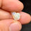 Thumbnail: Gorgeous Bright Zebra Striped Single Brazilian Opal Stone Cutter