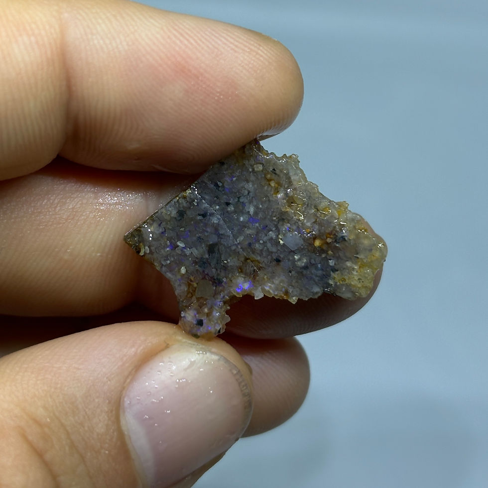 Thumbnail: Rough Black Vernon Parish Louisiana Hidden Fire Louisiana Shaped Opal Stone Pair