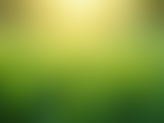 Discover Expert Lawn Care Solutions