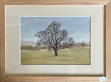 Lone Tree