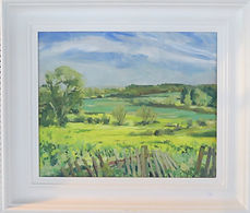 Rape Fields