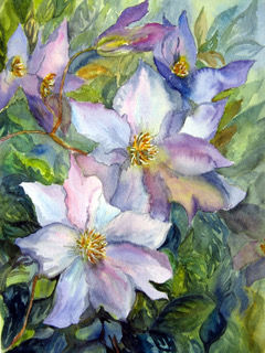 White clematis.jpeg