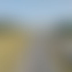 Consolidação do Projeto Funcional, Elaboração de Anteprojeto e Detalhamento do Projeto Executivo de