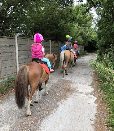 Pony Patch - Pony Ride Out.jpg