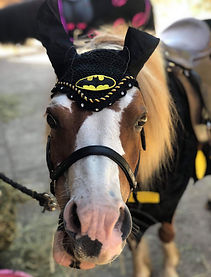 Pony Patch - Pony Costume - Batman Costu