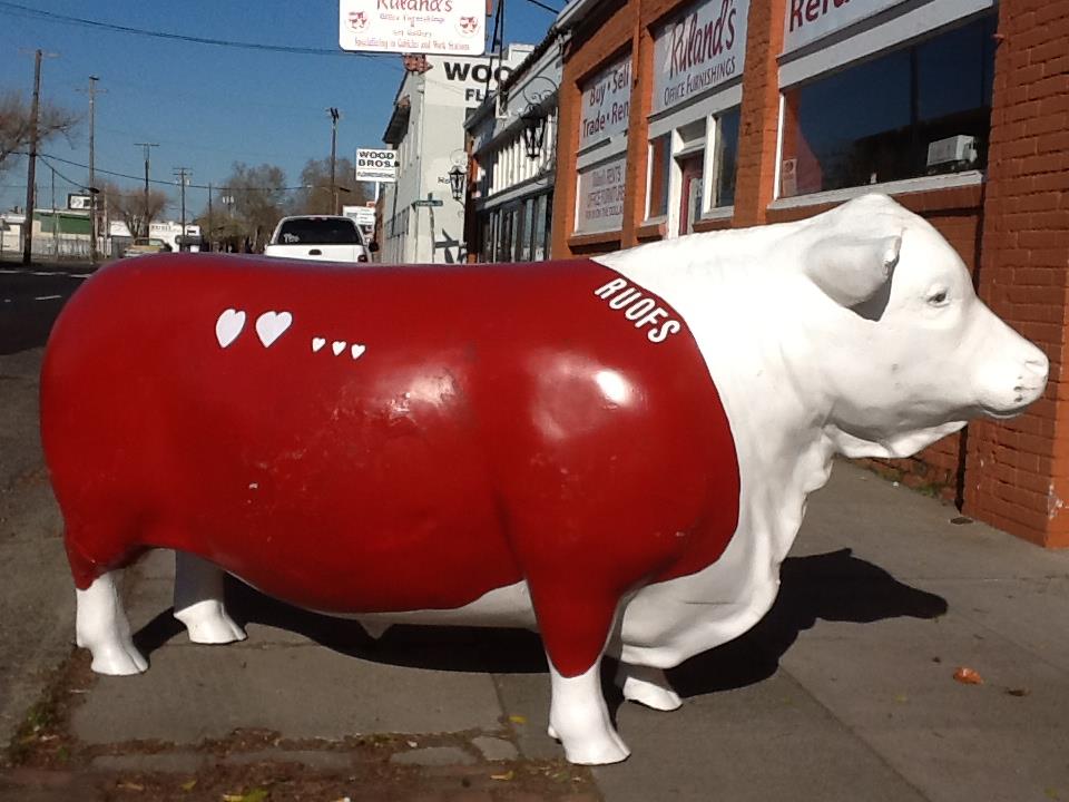 RUOFS Rulands Used Office