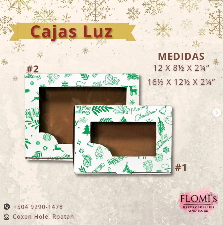 CAJA LUZ #1 (12 X 8.5 X 2 1/4") Especiales