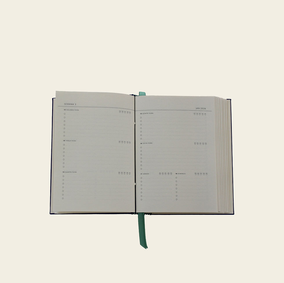Miniatura: AGENDA PLANNER 2026 15x21